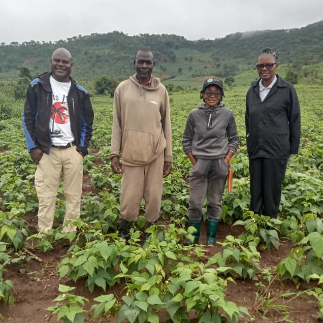 Beans field monitoring at Ngocho